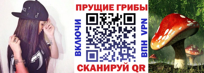 Псилоцибиновые грибы Psilocybine cubensis  сколько стоит  Бор 